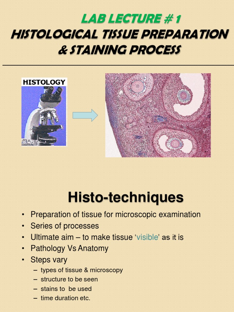 Histological Tissue Prep & Staining | PDF | Staining | Fixation (Histology)