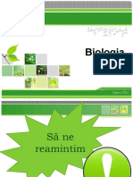 Structura Și Funcțiile Rădăcinii