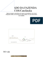Fazenda Côcos no Cerrado de Catolândia