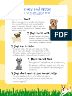 Facts About Dogs