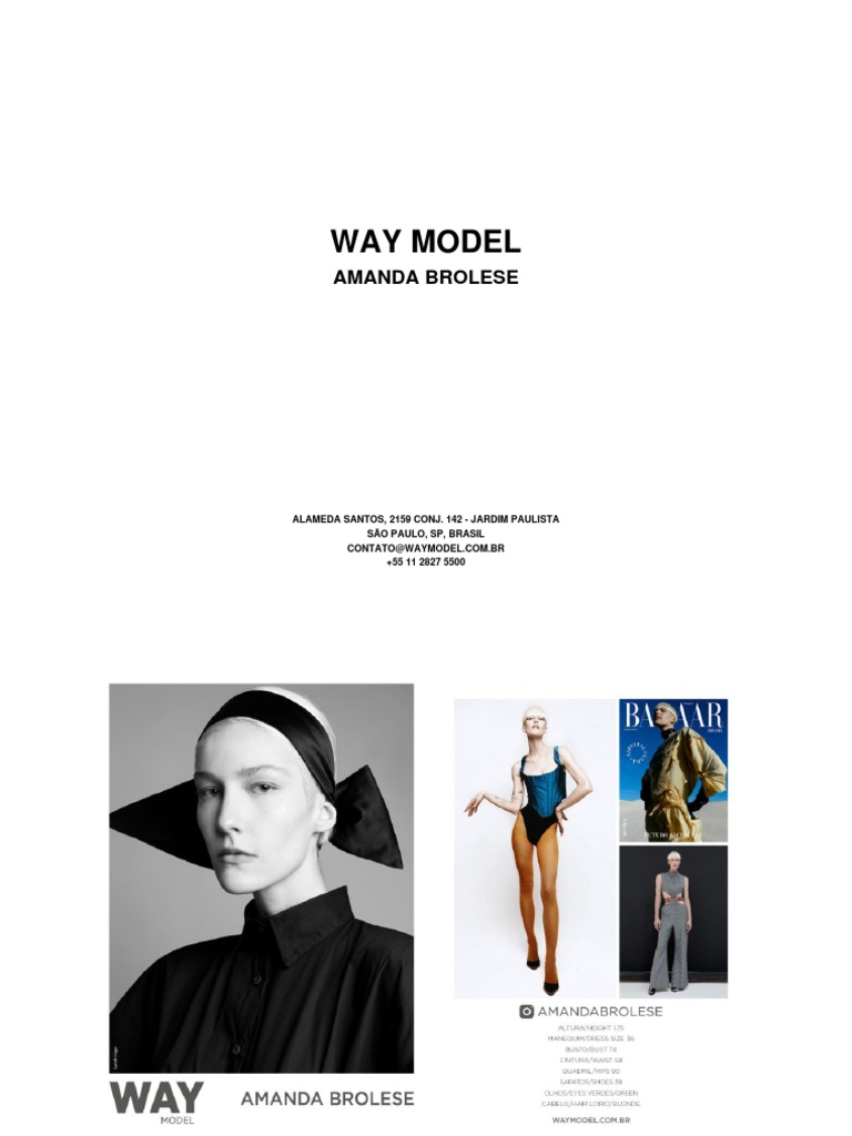 Way Model | PDF