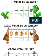 Foldables Ciclo Vital Animales PDF