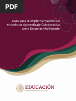 Guía para La Implementación MAC 2021 PDF