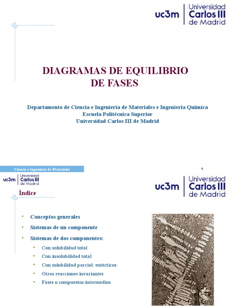 Diagramas de Equilibrio de Fases | PDF | Fase (materia) | Diagrama de fases