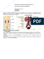 L'excretion Urinaire