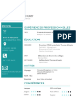 CV de Graphiste PDF