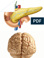 IMAGENES PARA CONSULTORIO DE CIRUGIA MENOR