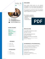 60 Curriculum Vitae Con Foto PDF