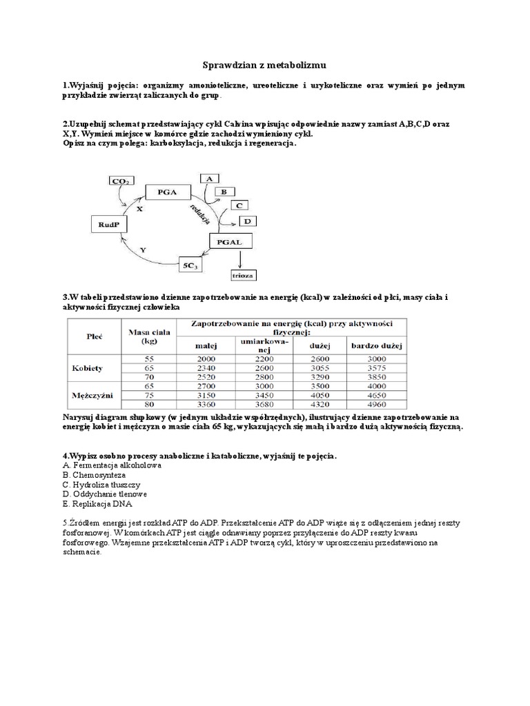 sprawdzian-z-metabolizmu-2-docx-pdf