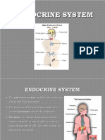 Endocrine System2023
