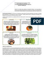 Guia de Cambios de La Materia PDF