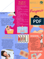 Puerperio Triptico PDF