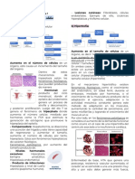 Módulo 2 - Clase 1 - Fisiopatologia