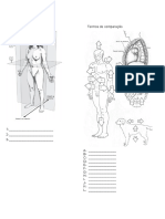 Planos Anatômicos e Termos de Comparação