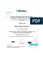Auditor Interno PDF
