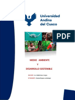 Documento de Investigación Medio Ambiente