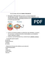 Fisa de Lucru Procariote