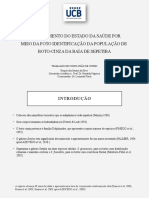 Avaliação da saúde do boto-cinza na Baía de Sepetiba por fotoidentificação (2006-2019