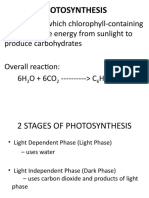 Photosynthesis: Processes, Structures and Adaptations