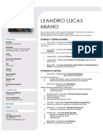 Curriculum Leandro Lucas Miano