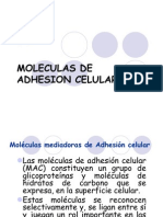 Moleculas de Adhesion Celular 1223605666724403 9