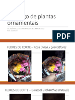 Catálogo de Plantas Ornamentais