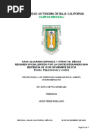 Caso Alvarado V.S Mexico - Proteccion de Los Derechos Humanos-Hugo Pérez Arellano
