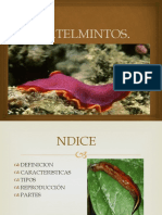 Platelmintos