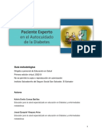 Programa Educativo Paciente Experto en El Autocuidado de La Diabetes 12-10-22 PDF