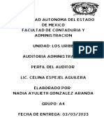 Perfil del auditor administrativo