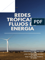 Ecosistemas y Flujo de Energia PDF