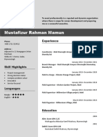 Mamun CV