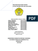 Laporan Kimia Pangan - Analisis Protein