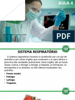 Aula 4 - Sistema Respiratório