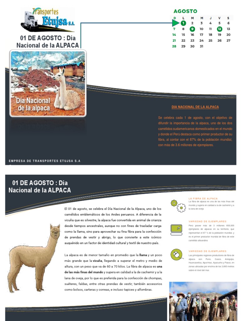 Dia Nacional de La Alpaca - 01 DE AGOSTO | PDF | Lana | Familias de ...
