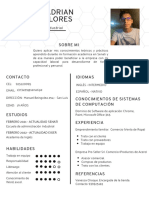 CV - Carlos Adrian Balbin Flores PDF