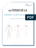 Arterias de La Gran Circulacion PDF