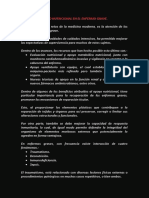 Apoyo Nutricional en El Enfermo Grave PDF