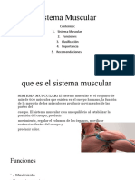 Sistema Muscular