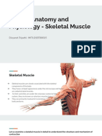 Human Anatomy and Physiology - Skeletal Muscle