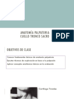 Anatomía Palpatoria Cabeza y Cuello PDF