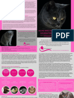 FIP Pet Owner Brochure FINAL V2 1 PDF