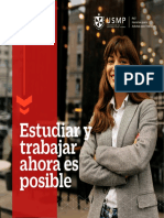 Brochure-PAT UNIVERSIDAD SAN MARTIN PAR AADULTOS MAYORES DE 27 PDF