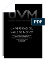 Informe justificado, audiencia y auto de diferimiento