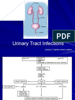 Urinary Tract Infections: Lecture 2: Genito-Urinary System