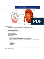 D8e531f995aef8c PDF