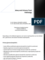 Kidney and Urinary Tract Pathology: Dr. Dr. Delyuzar, M.Ked (Pa), Sppa (K) Dr. Dr. Lidya Imelda Laksmi, M.Ked (Pa), Sppa