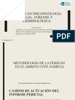 Metodología pericial en el ámbito civil-familiar