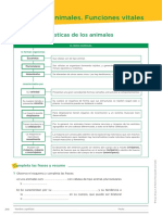 Los Animales. Funciones Vitales PDF