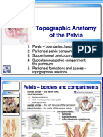 Topographic Anatomy of The Pelvis PDF